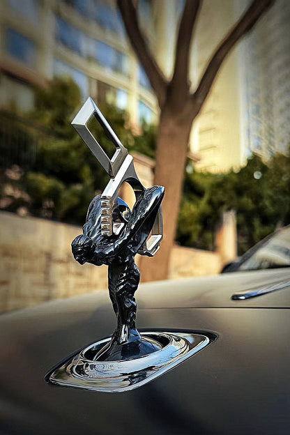 Automobile seat belt buckle