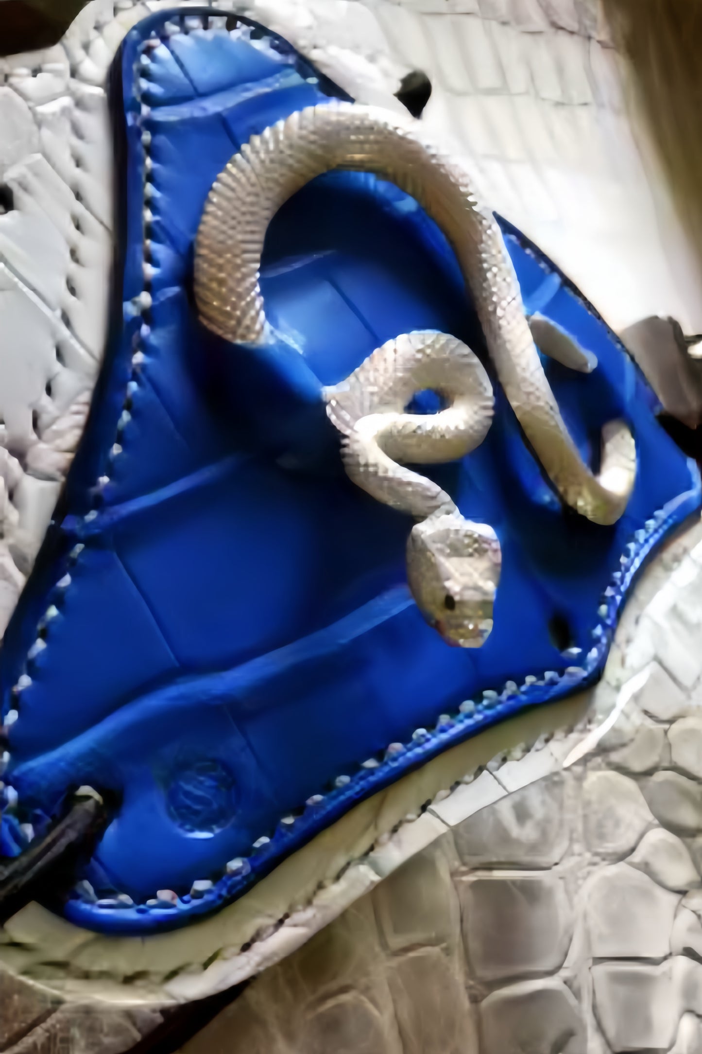 Motorcycle protective gear