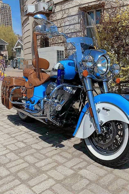 Motorcycle protective gear