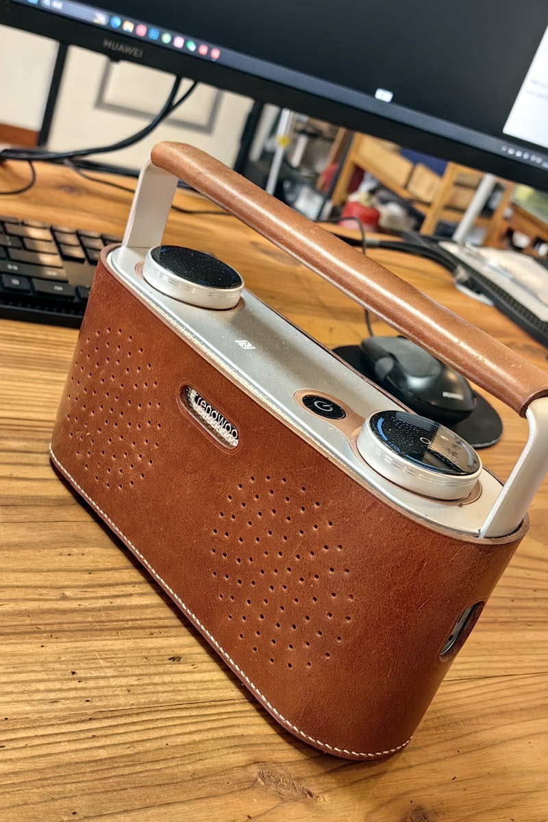 Audio Cowhide Case